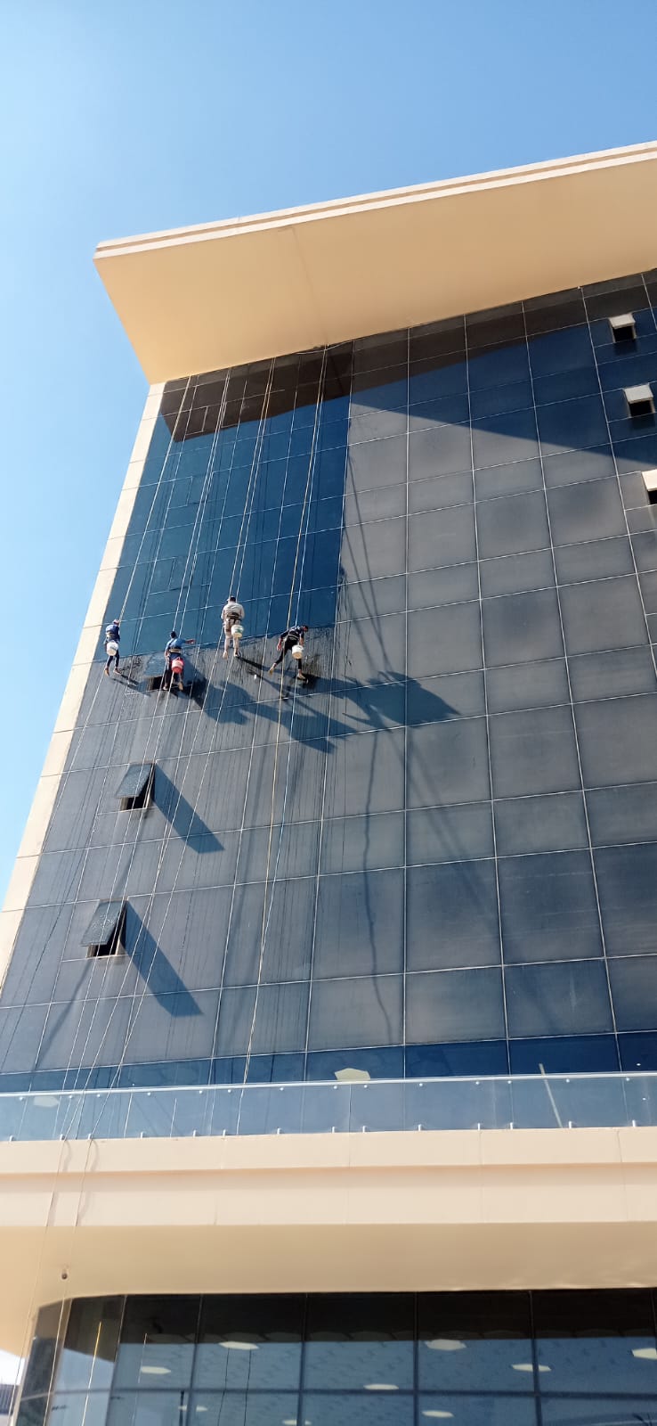 شركة نظافة بيئية